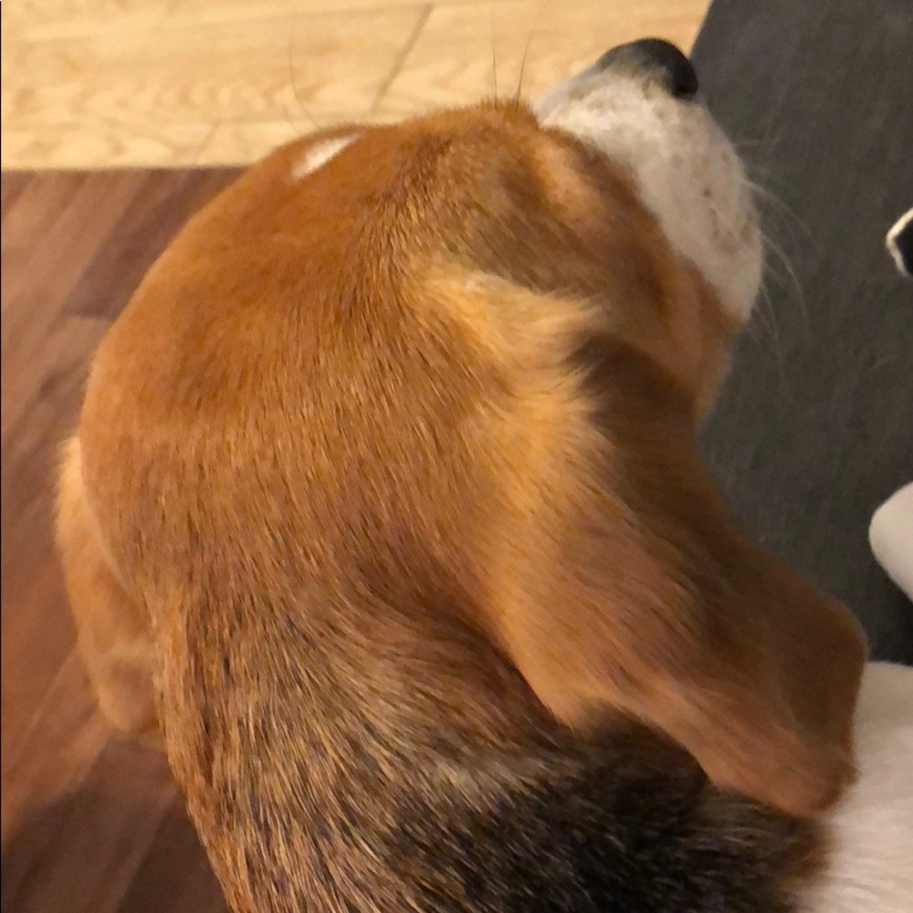 Meet your Posher, Jared